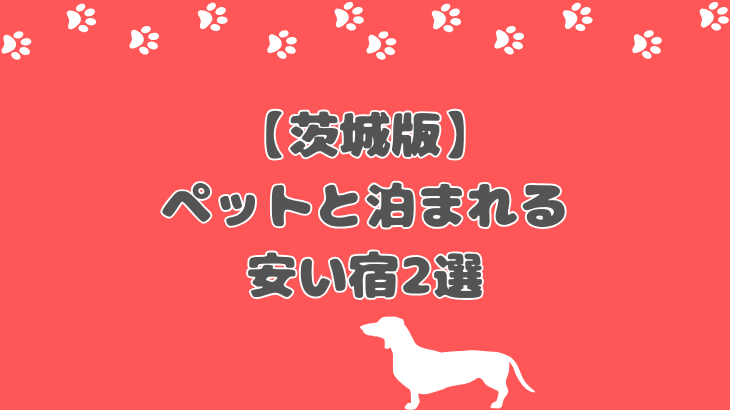 【茨城版】ペットと泊まれる安い宿！快適でリフレッシュできるおすすめ宿2選