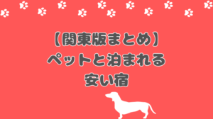 【最新版】ペットと泊まれる宿10選！【関東】安くて快適な愛犬との楽しい旅に