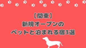 【2026年】関東で新規オープンするペットと泊まれる宿3選！大型犬も泊まれる？