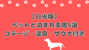 日光で犬と泊まれる宿おすすめ5選｜温泉・コテージ・サウナ付きも紹介