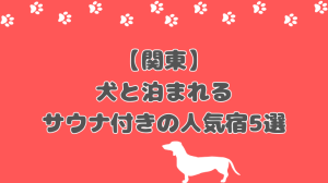 【2026年版】関東で犬と泊まれるサウナ付き宿5選！那須・日光の人気宿まとめ