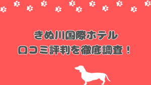 ペット同室宿泊パイオニアの宿、きぬ川国際ホテルの口コミや評判！老朽化は気になる？