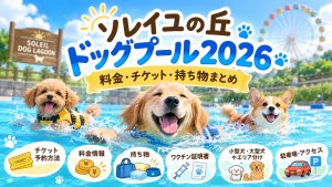 ソレイユの丘ドッグプール2026の料金は？チケットや持ち物など調査